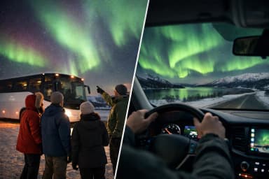 Guided Tours Versus Self Driving for Aurora
